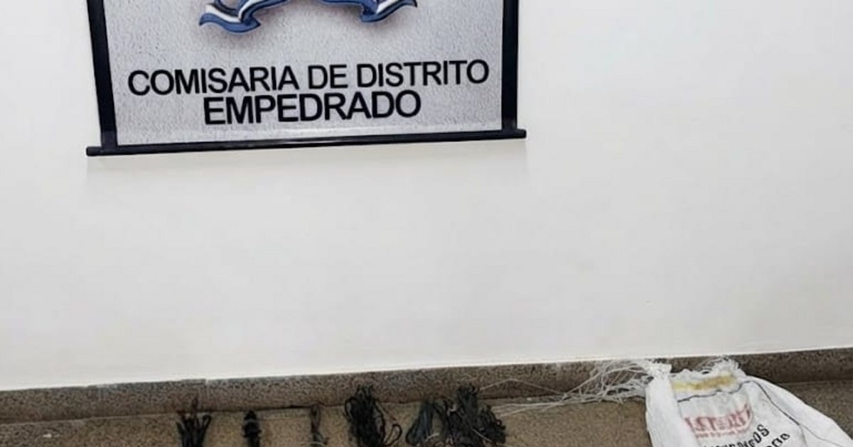 Recuperaron cables de un transformador listos para la venta en Corrientes