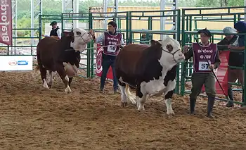 Margarita Belén volvió a  mostrar lo mejor del Braford