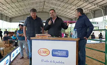 Buena oferta y ventas  ágiles para cerrar la Expo