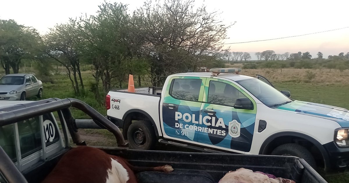 Demoraron a seis personas por el traslado ilegal de un vacuno en Corrientes