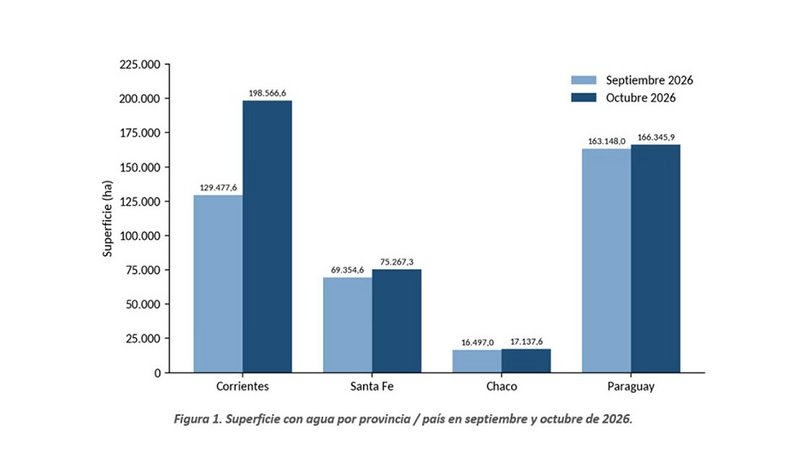 Por la crecida del Paraná, Corrientes registró 69.000 hectáreas más cubiertas de agua