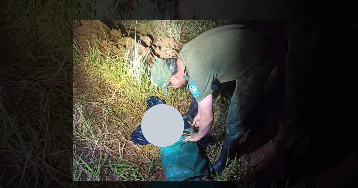 Corrientes: secuestran 120 kilos de carne proveniente de una faena ilegal