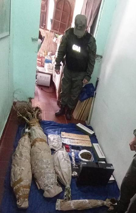 Narcomenudeo: cayó una banda narco que cultivaba, elaboraba y vendía marihuana- Narcomenudeo: cayó una banda narco que cultivaba, elaboraba y vendía marihuana