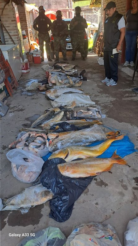 Corrientes: incautan importante carga de pescados en una finca a orillas del Paraná en Paso de la Patria