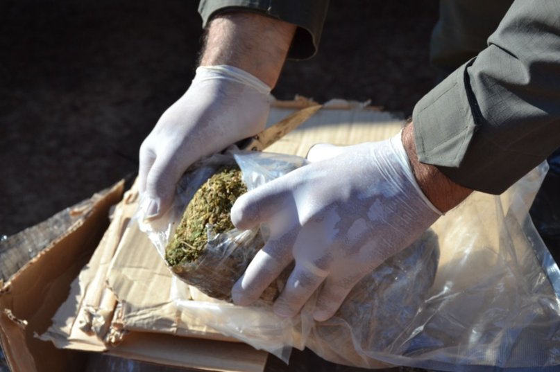 Incautaron una millonaria carga de marihuana que era enviada en encomienda