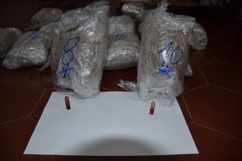 Incautaron una millonaria carga de marihuana que era enviada en encomienda- Incautaron una millonaria carga de marihuana que era enviada en encomienda