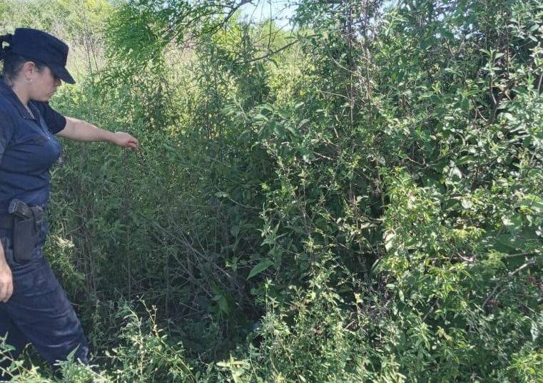 Otro detenido por el ataque a tiros y asalto en Alvear - Otro detenido por el ataque a tiros y asalto en Alvear