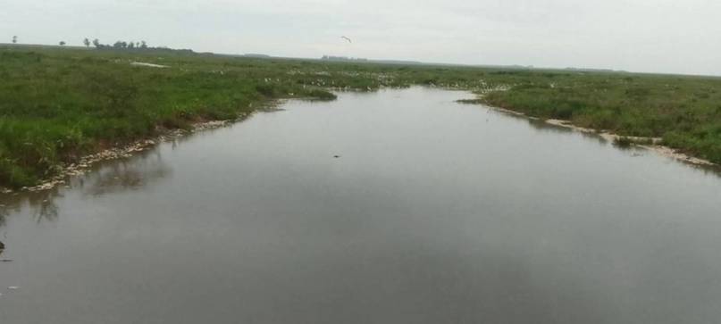 1765500085043 SORPRESIVA APARICIÓN DE PECES MUERTOS EN GUAVIRAVÍ: ESPECIALISTAS EXPLICAN POSIBLES CAUSAS