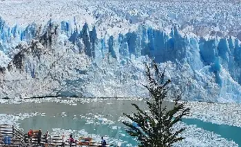 Argentina recibirá mundial de natación en aguas frías