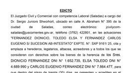 ED. FERNANDEZ DIONICIO, TOLEDO ELSA Y FERNANDEZ CARLOS EUGENIO S/ SUCESION AB-INTESTATO anuncio N° 0